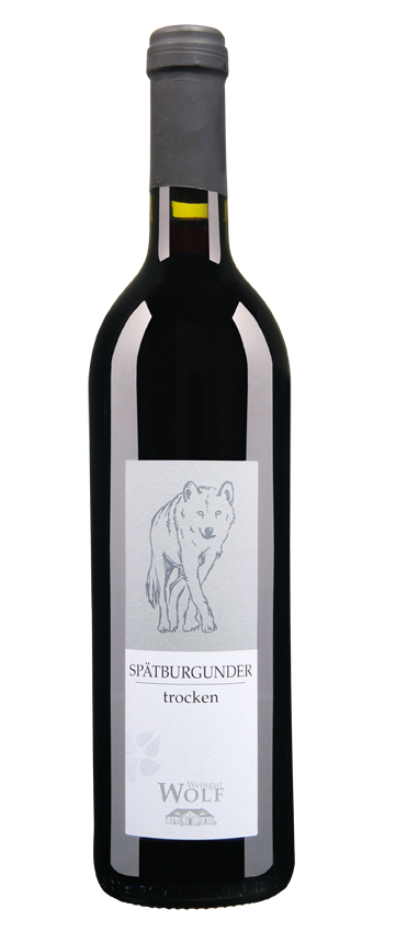 - Wolf - Spätburgunder trocken - Ungsteiner Nußriegel