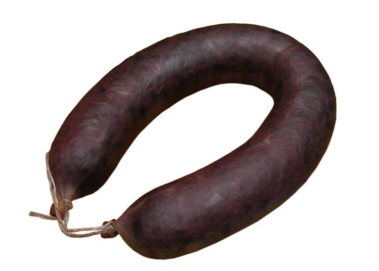 Frische Blutwurst im Naturdarm