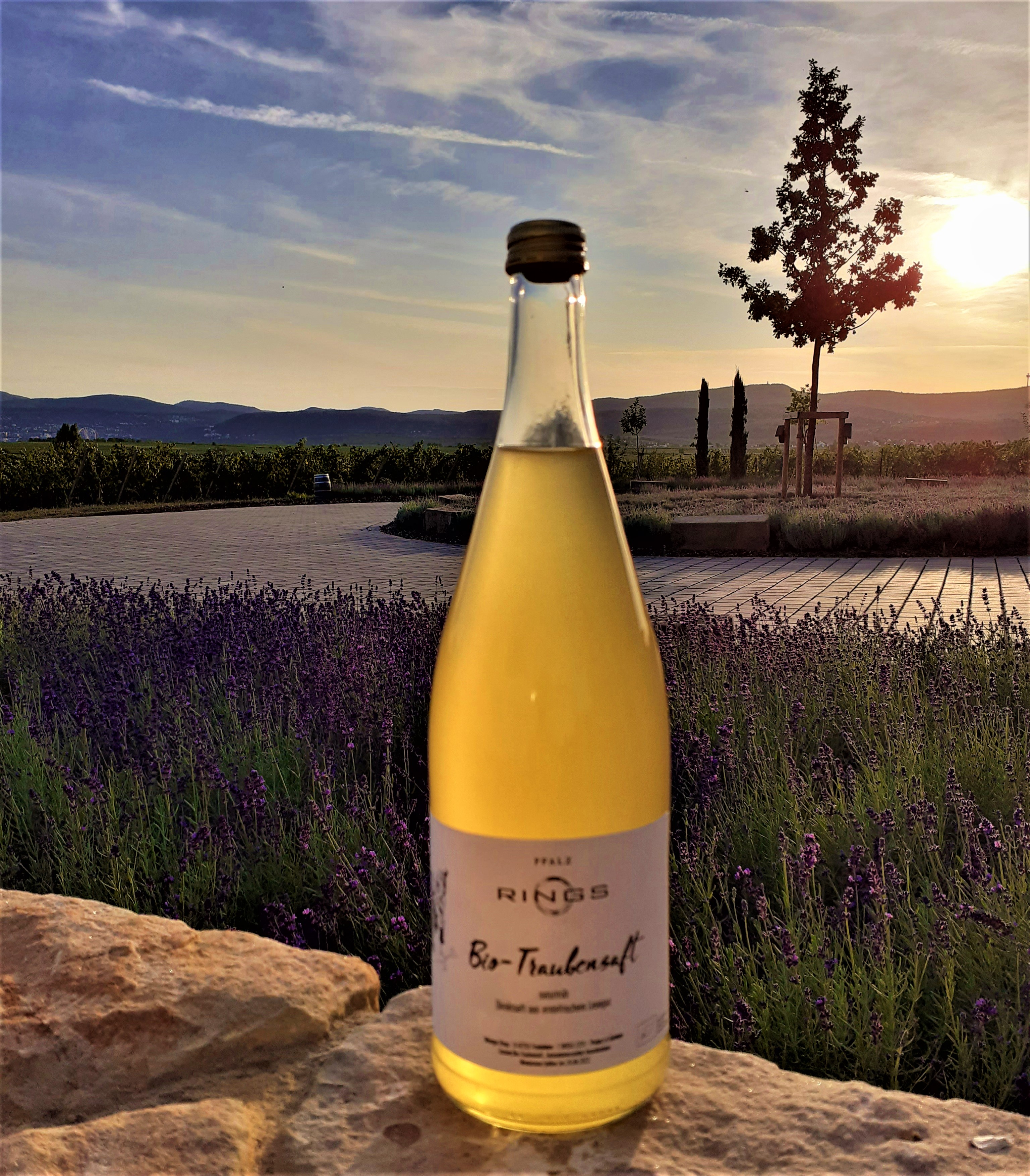 Frischer BIO Traubensaft vom Weingut Rings - naturtrüb