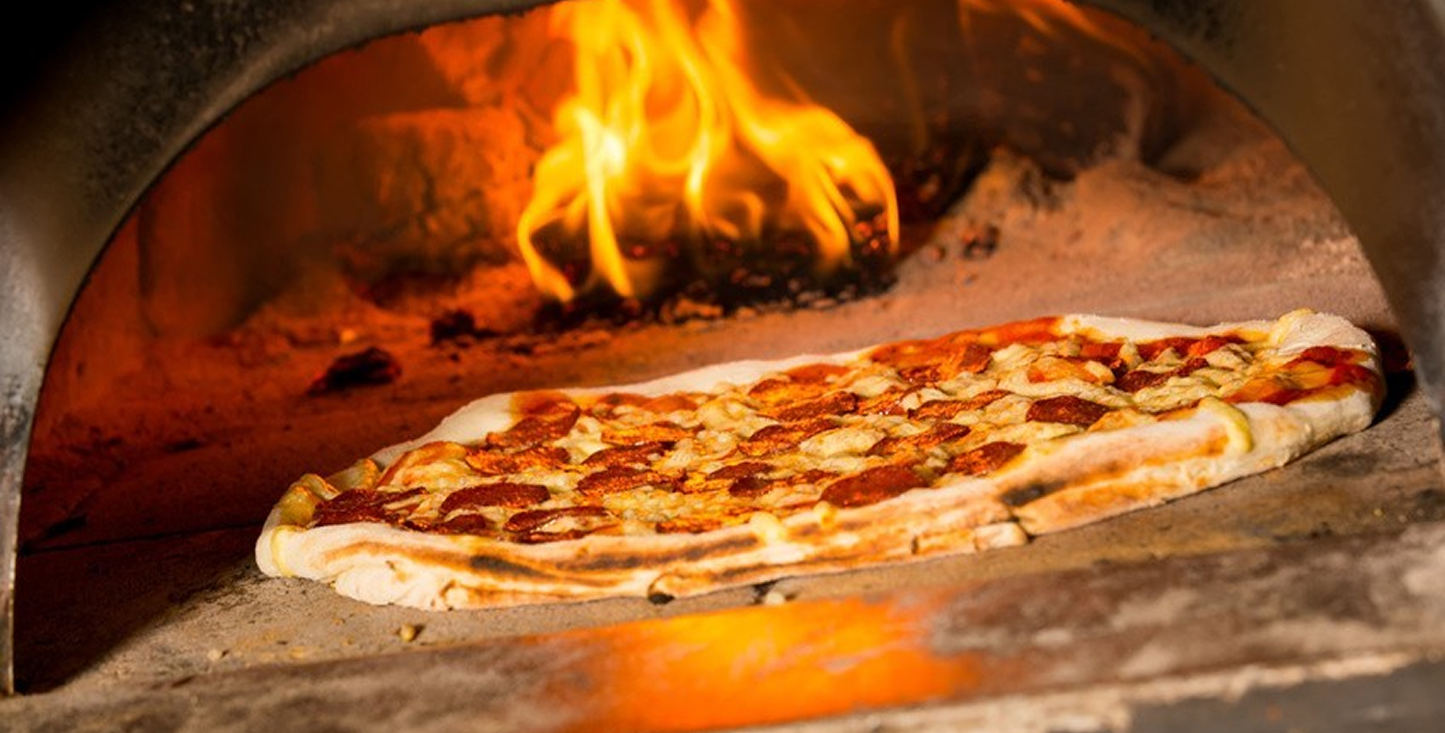 Hintergrund-Pfalz-Banner