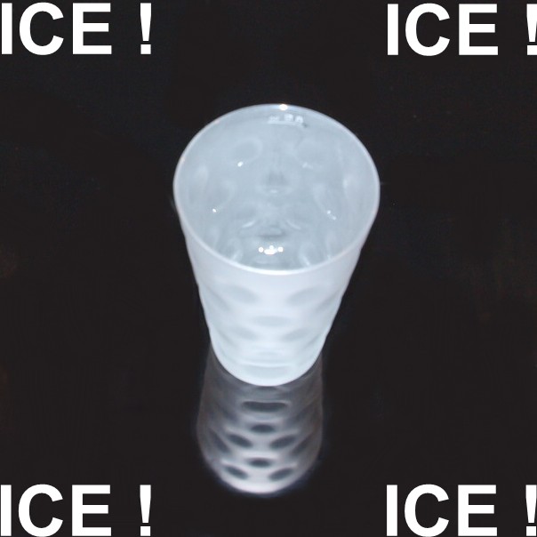 ICE Dubbe